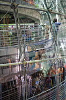 California Academy of Sciences, interior reflections