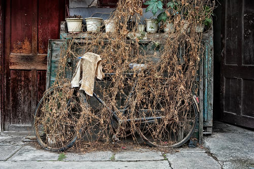 Dongtai Bicycle, Shanghai