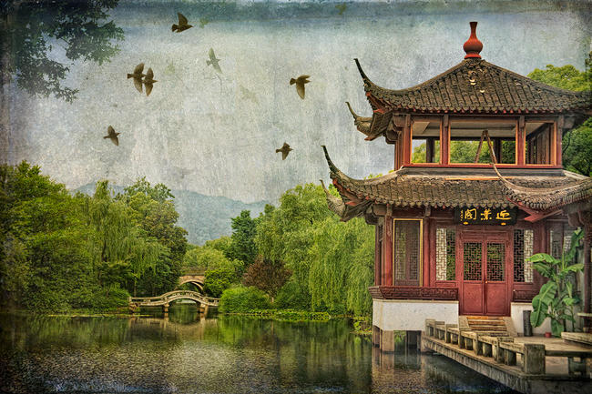 FLIGHT (Hangzhou, China)